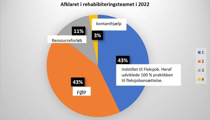 Afklaret i rehabiliteringsteamet i 2022